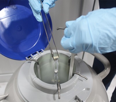 VITRIFICATION