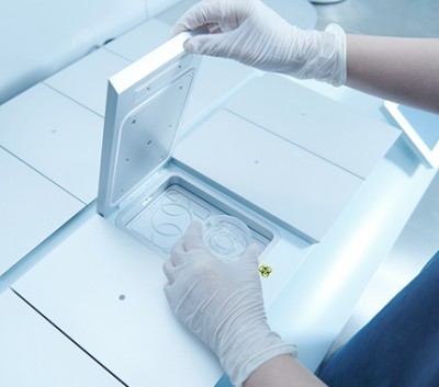 Incubator
